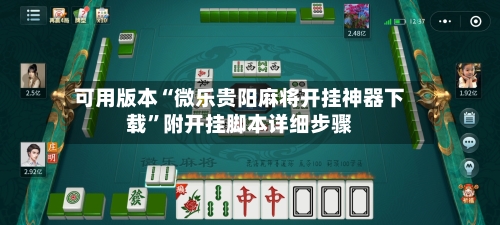 可用版本“微乐贵阳麻将开挂神器下载	”附开挂脚本详细步骤-第2张图片