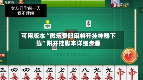 可用版本“微乐贵阳麻将开挂神器下载”附开挂脚本详细步骤-第3张图片