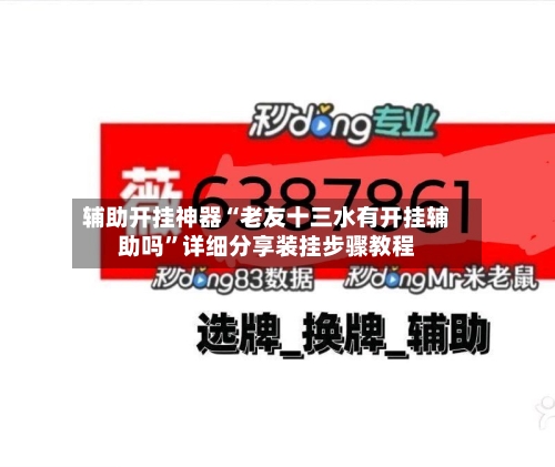 辅助开挂神器“老友十三水有开挂辅助吗”详细分享装挂步骤教程-第2张图片
