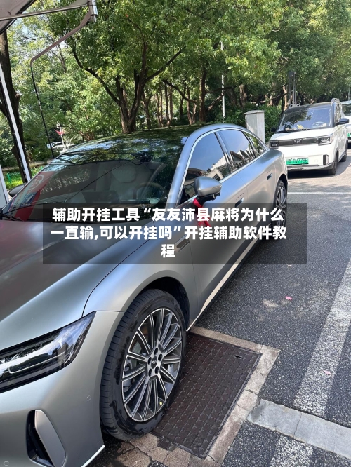 辅助开挂工具“友友沛县麻将为什么一直输,可以开挂吗	”开挂辅助软件教程-第1张图片
