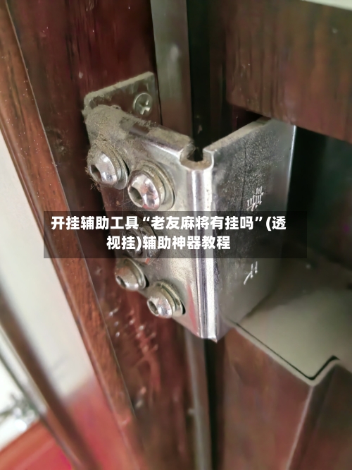 开挂辅助工具“老友麻将有挂吗”(透视挂)辅助神器教程-第2张图片