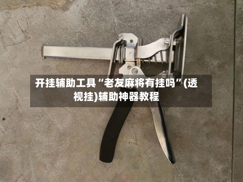 开挂辅助工具“老友麻将有挂吗	”(透视挂)辅助神器教程-第3张图片