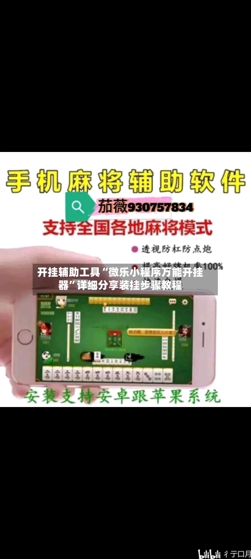 开挂辅助工具“微乐小程序万能开挂器	”详细分享装挂步骤教程-第1张图片