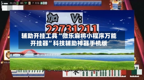 辅助开挂工具“微乐麻将小程序万能开挂器”科技辅助神器手机版-第3张图片