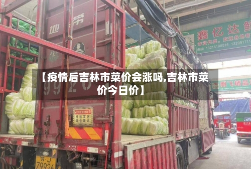 【疫情后吉林市菜价会涨吗,吉林市菜价今日价】-第1张图片