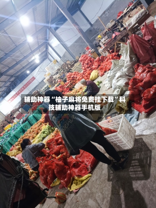 辅助神器“柚子麻将免费挂下载”科技辅助神器手机版-第2张图片