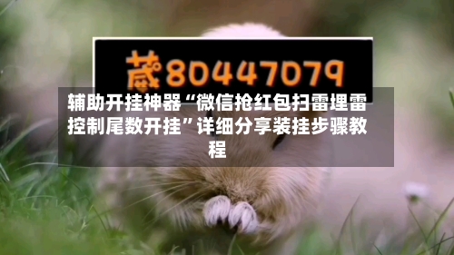 辅助开挂神器“微信抢红包扫雷埋雷控制尾数开挂”详细分享装挂步骤教程-第1张图片