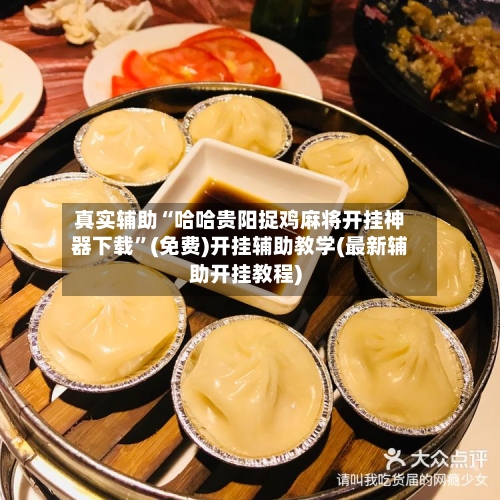 真实辅助“哈哈贵阳捉鸡麻将开挂神器下载	”(免费)开挂辅助教学(最新辅助开挂教程)-第2张图片