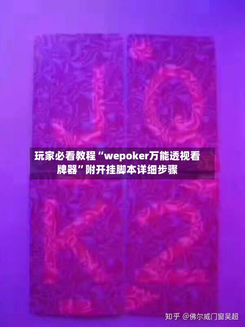 玩家必看教程“wepoker万能透视看牌器”附开挂脚本详细步骤-第2张图片