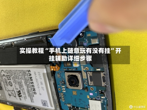 实操教程“手机上随意玩有没有挂”开挂辅助详细步骤-第1张图片