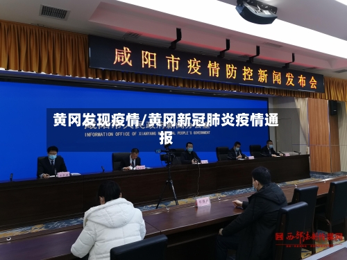 黄冈发现疫情/黄冈新冠肺炎疫情通报-第2张图片