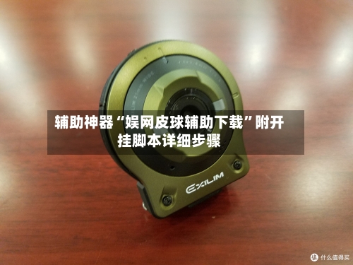 辅助神器“娱网皮球辅助下载”附开挂脚本详细步骤-第3张图片