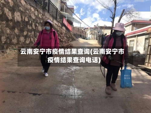 云南安宁市疫情结果查询(云南安宁市疫情结果查询电话)-第1张图片