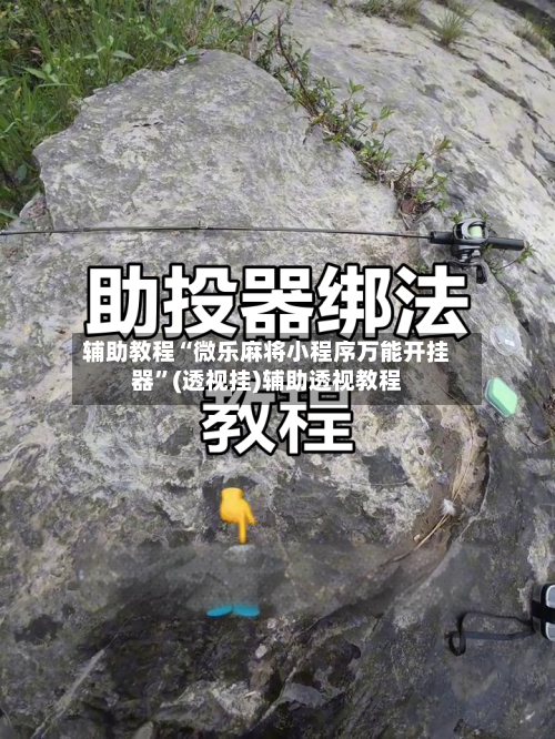 辅助教程“微乐麻将小程序万能开挂器”(透视挂)辅助透视教程-第1张图片