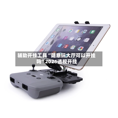 辅助开挂工具“随意玩大厅可以开挂吗”2026透视开挂-第3张图片