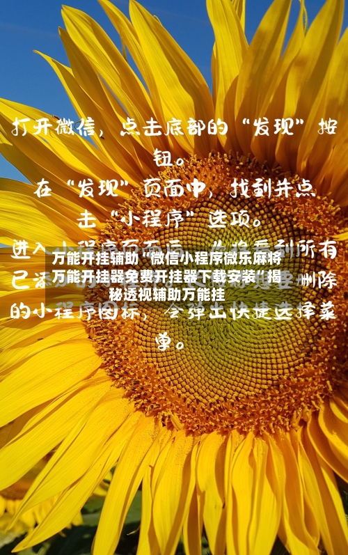 万能开挂辅助“微信小程序微乐麻将万能开挂器免费开挂器下载安装	”揭秘透视辅助万能挂-第2张图片