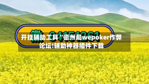 开挂辅助工具“德州局wepoker作弊论坛!辅助神器插件下载-第2张图片